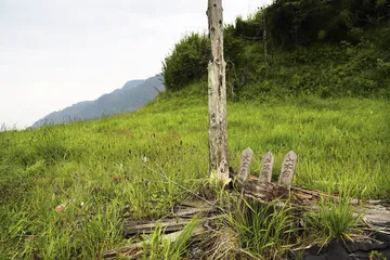 古道上的汉中8
