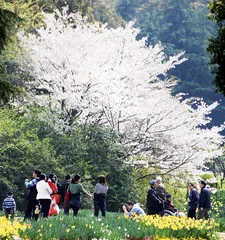 无锡风光：在园林里看太湖山水1