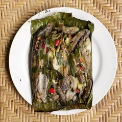 雨林味道：浓烈与清新10