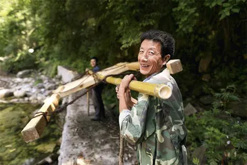 佛坪大熊猫：野性的自由3