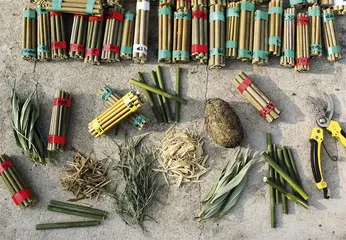 佛坪大熊猫：野性的自由5