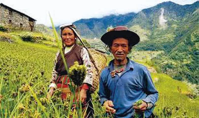 好消息·坏消息（794）1