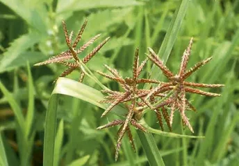 好消息·坏消息（796）2