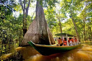 我的亚马孙之旅，一次轻轻的触碰14