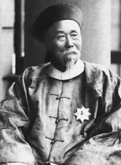 李鸿章的另一场战争