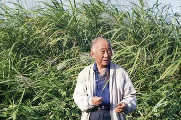 “老头儿”三杂4