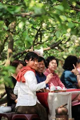 听詹勋华说茶4