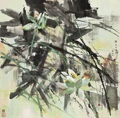 特殊的收藏
