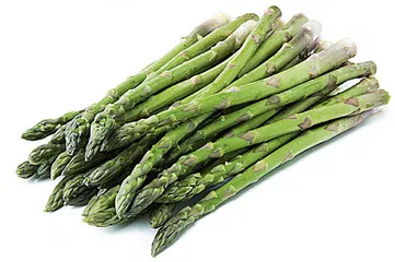 健康4