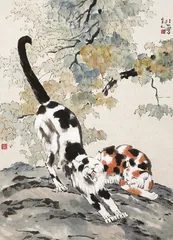 特殊的收藏7