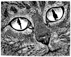 我的猫说
