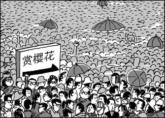 声音（779）
