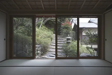 京都的煎茶道之旅