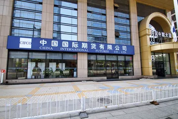 刘汉的资本发酵迷局2