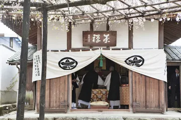 京都的煎茶道之旅6