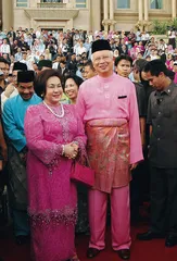 马航事件背后：“阴谋论”的政治土壤3