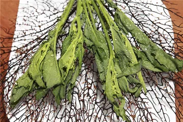 宜宾春食1