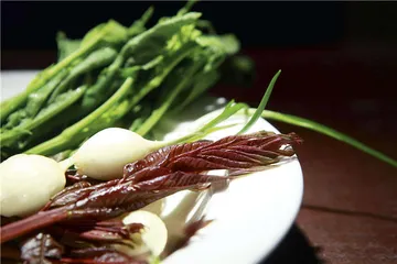宜宾春食2