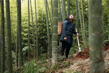 宜宾春食4