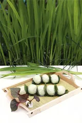 宜宾春食8