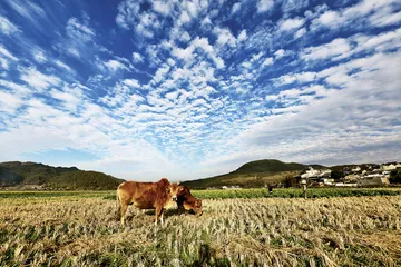 和顺，出走之地与回归之所15