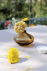 昆明春天的花草宴2