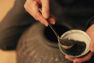 听周渝说老茶5
