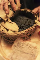 听周渝说老茶6