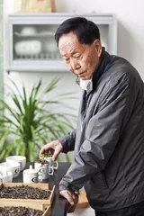 “侨销圆茶”和“七子饼”的来历2