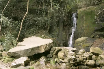 茶之道