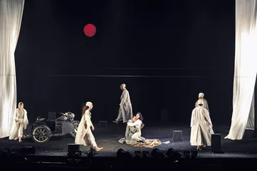 《耶路撒冷之鸽》：一只鸟儿所能承载的爱情3