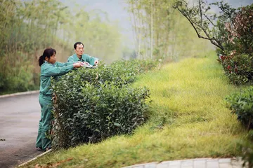 临潼开发：如何破解融资难题3