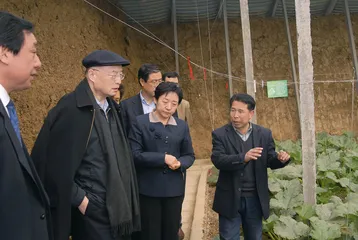 绿色城镇化中的中国特色市场经济4