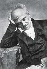 叔本华 （Arthur Schopenhauer，1788～1860）