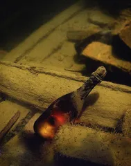 酿美酒如烹小鲜