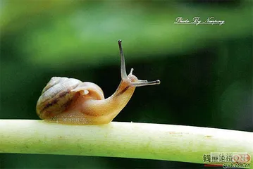 好消息·坏消息（762）2