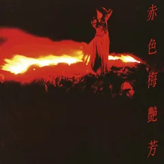 梅艳芳粤语专辑的百变造型1
