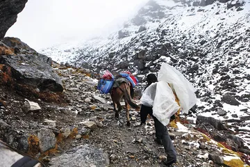 行路墨脱，景观与天险