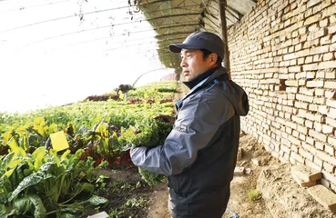 新农夫进阶：订制的田园生活1