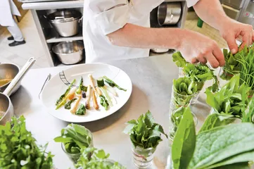 素食主义：寻求的目标和改变1