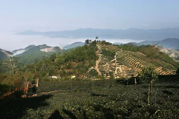 唐望的茶事春秋1