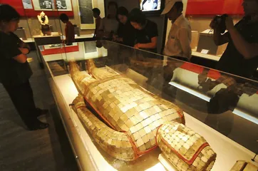 曹操家族：藏在DNA里的超时空生命记忆2