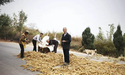 丁书苗传奇3