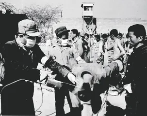 走过战争，走过屈辱10