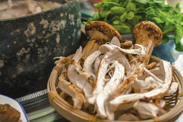 ​滇藏线：饮食和物产之美8