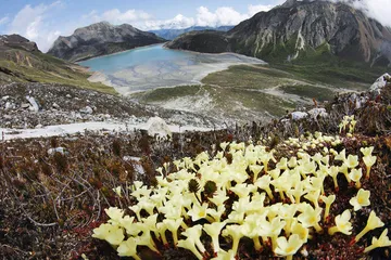 走向秘境雅鲁藏布大峡谷