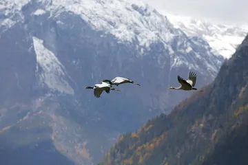 走向秘境雅鲁藏布大峡谷3