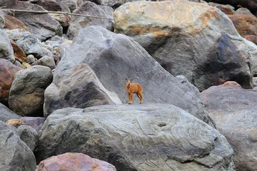 走向秘境雅鲁藏布大峡谷7