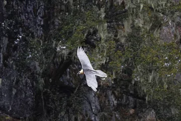 走向秘境雅鲁藏布大峡谷8