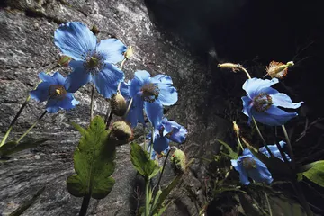 走向秘境雅鲁藏布大峡谷12